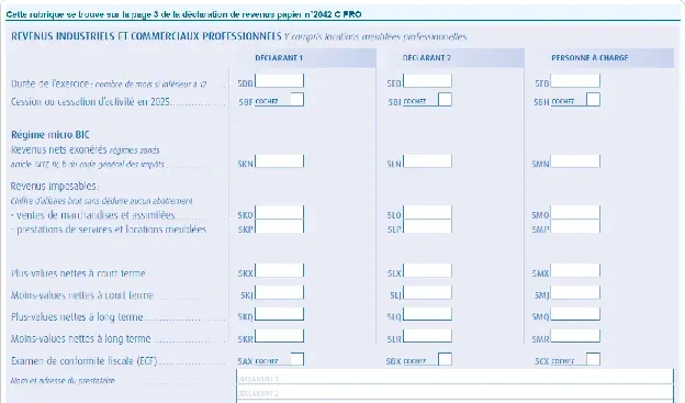 Rubrique Revenus non commerciaux professionnels (BNC) du formulaire 2042-C-PRO